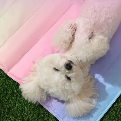 TAPIS RAFRAICHISSANT CHIEN │ Perle™ - Joli Doggy