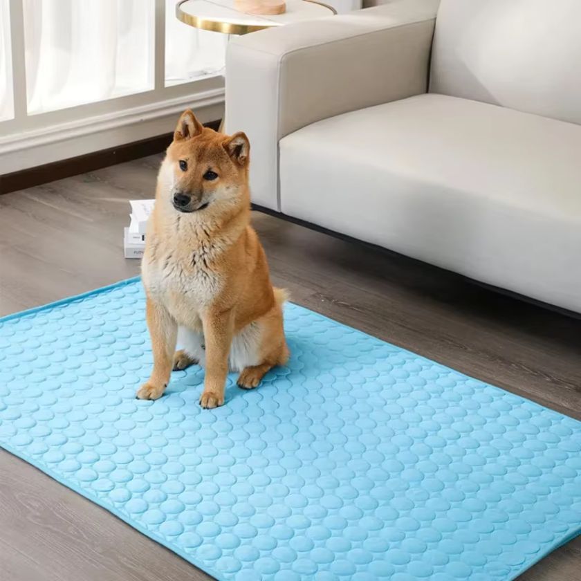 Tapis Rafraîchissant Chien Samba™ - Joli Doggy