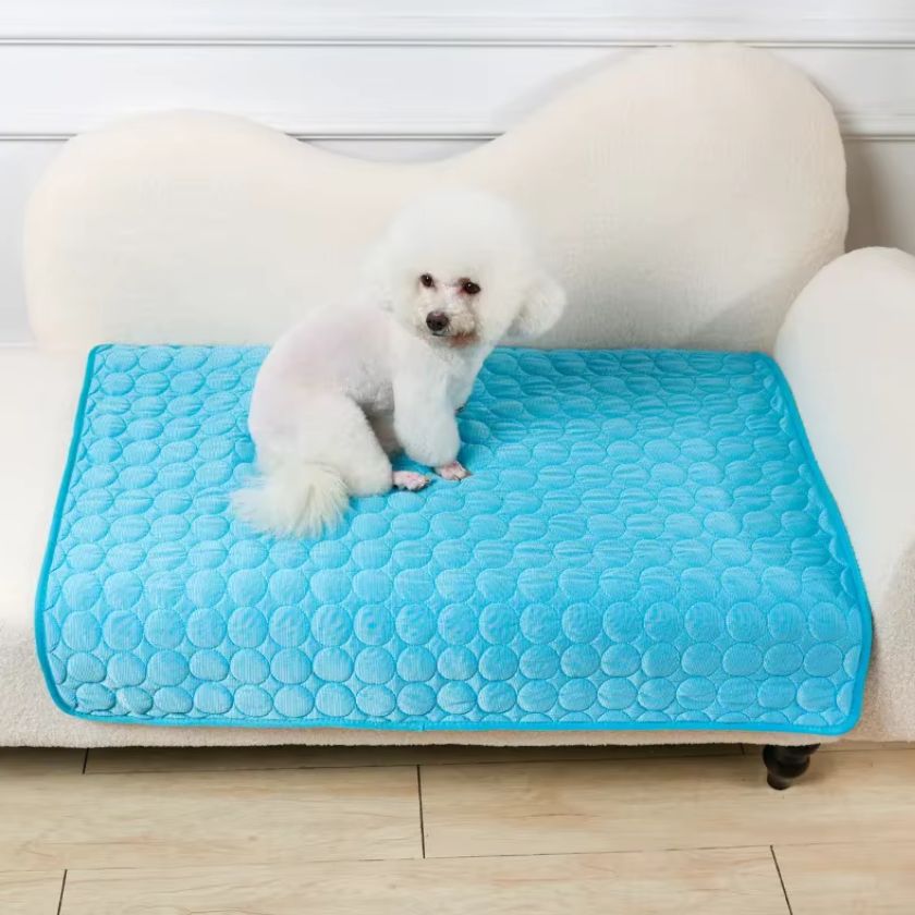 Tapis Rafraîchissant Chien Samba™ - Joli Doggy