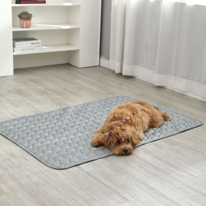 Tapis Rafraîchissant Chien | Samba™ V2 - Joli Doggy