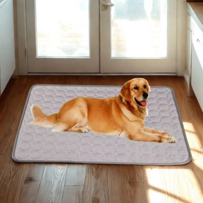 Tapis Rafraîchissant Chien | Samba™ V2 - Joli Doggy