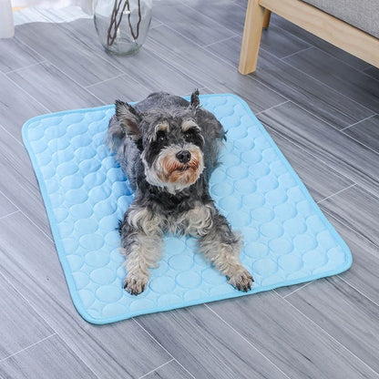 Tapis Rafraîchissant Chien | Samba™ V2 - Joli Doggy