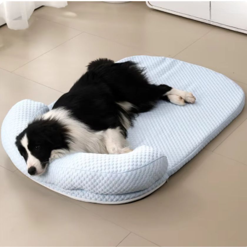 Tapis Rafraichissant pour Chien Romeo™ - Joli Doggy