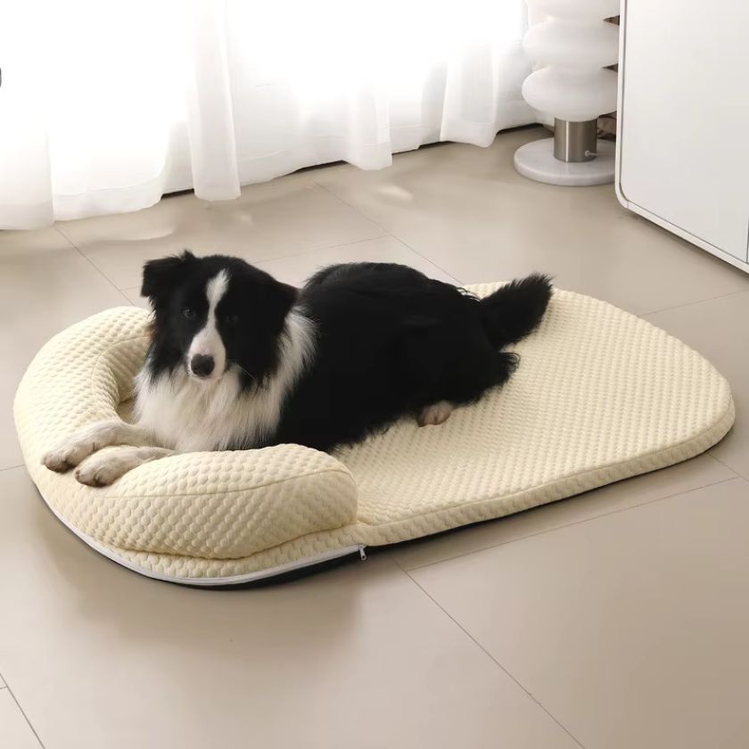 Tapis Rafraichissant pour Chien Romeo™ - Joli Doggy