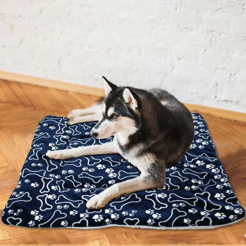 Tapis XXL pour Chien Big Paco™ - Joli Doggy